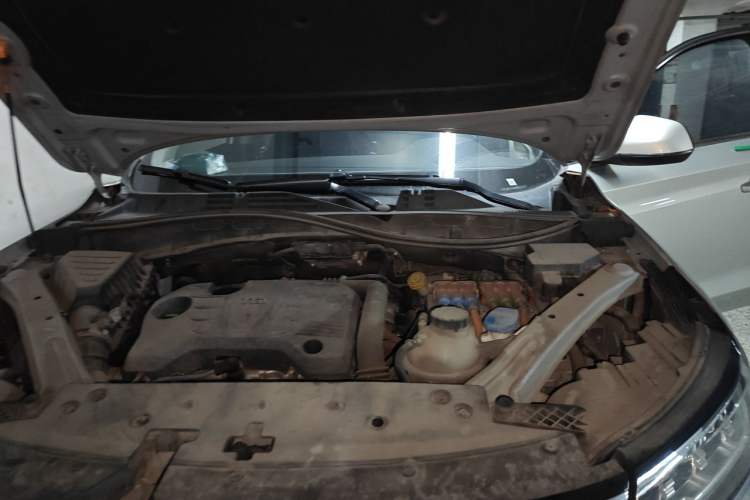 Used Roewe RX5 New Energy 2019 eRX5 50T 4G Connected Excellence Edition Engine Bay