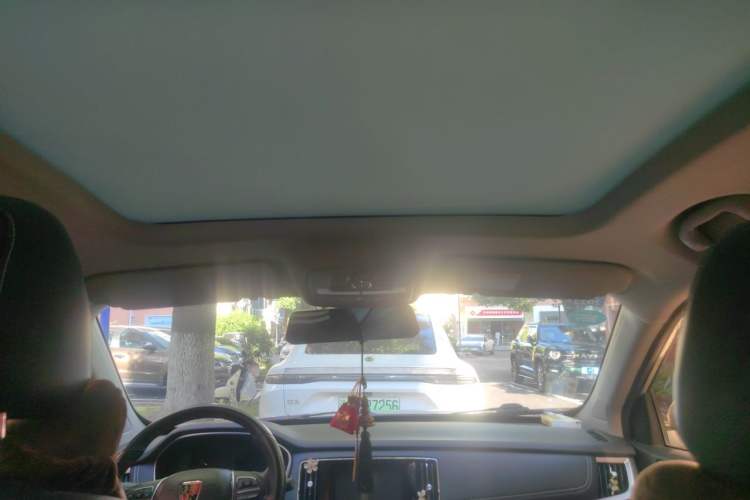 Used Roewe RX5 New Energy 2019 eRX5 50T 4G Connected Excellence Edition Headliner