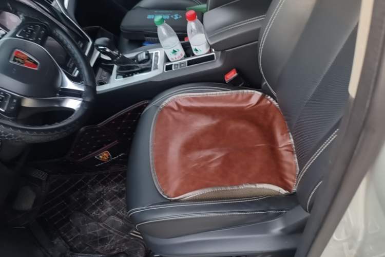 Used Roewe RX5 New Energy 2019 eRX5 50T Internet-Enhanced Flagship Edition Left Front Seat