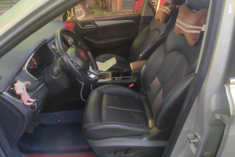 Used Roewe RX5 New Energy 2019 eRX5 50T 4G Connected Excellence Edition Left Front Seat