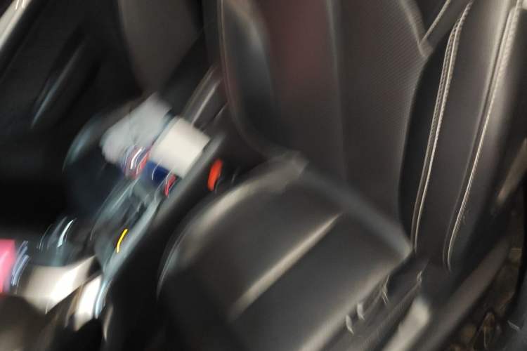 Used Roewe RX5 New Energy 2019 eRX5 50T 4G Connected Excellence Edition Left Front Seat