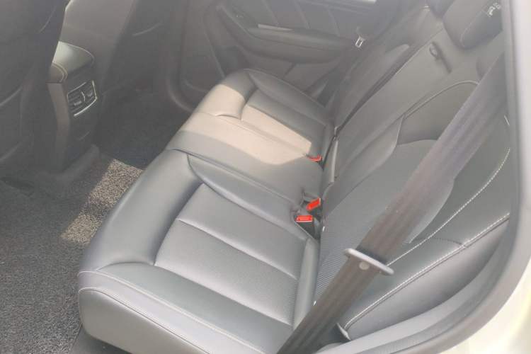 Used Roewe RX5 New Energy 2019 eRX5 50T Internet-Enhanced Flagship Edition Left Rear Seat