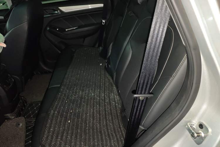Used Roewe RX5 New Energy 2019 eRX5 50T Internet-Enhanced Flagship Edition Left Rear Seat