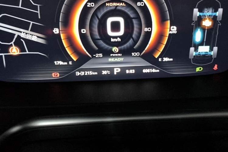 Used Roewe RX5 New Energy 2019 eRX5 50T Internet-Enhanced Flagship Edition Odometer Close Up