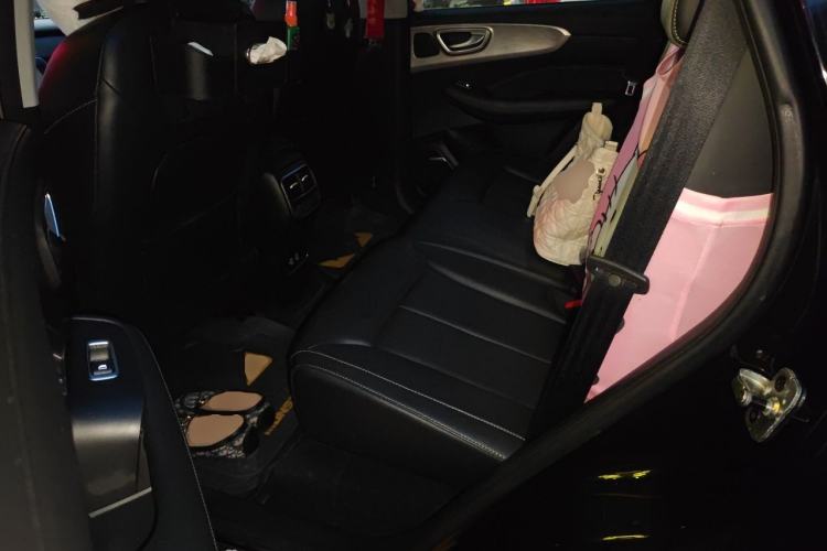 Used Roewe RX5 New Energy 2020 ePLUS National Trend Ronglin Luxury Edition Left Rear Seat