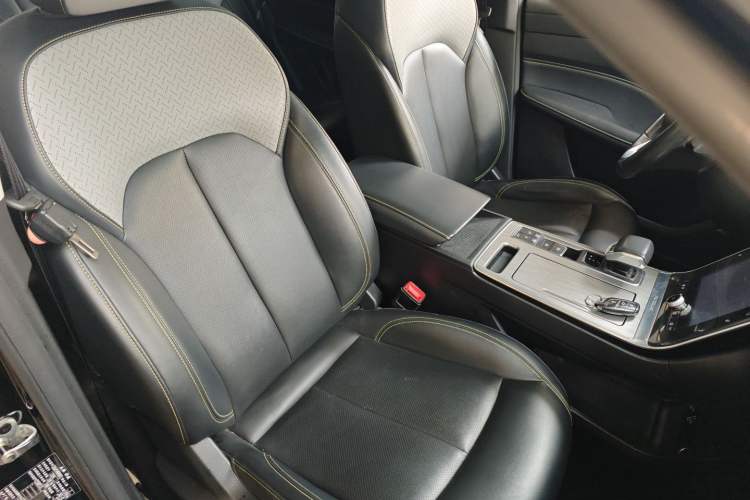 Used Roewe RX5 New Energy 2020 ePLUS National Trend Ronglin Luxury Edition Right Front Seat