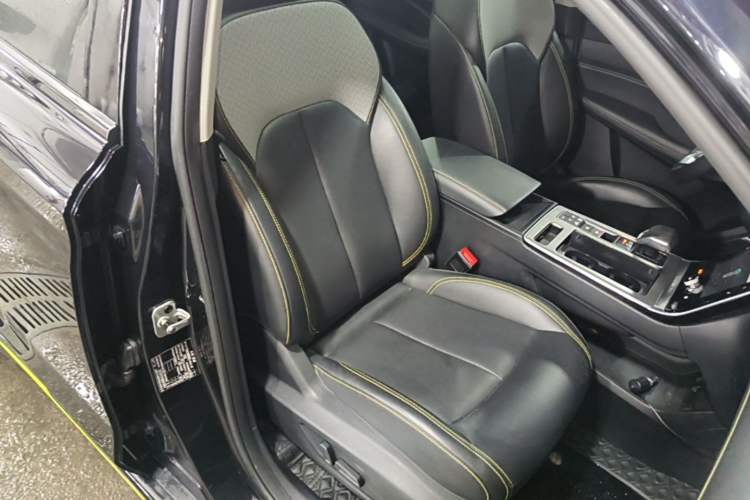 Used Roewe RX5 New Energy 2020 ePLUS National Trend Ronglin Luxury Edition Right Front Seat