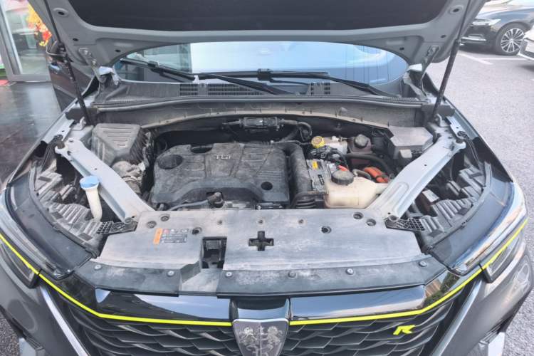 Used Roewe RX5 New Energy 2020 ePLUS National Trend Ronglin Flagship Edition Engine Bay