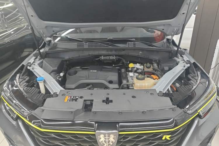 Used Roewe RX5 New Energy 2020 ePLUS National Trend Ronglin Luxury Edition Engine Bay