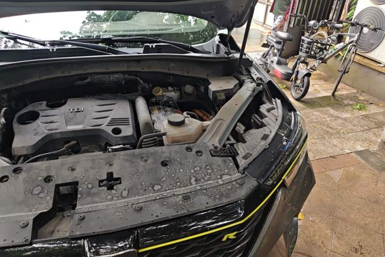 Used Roewe RX5 New Energy 2020 ePLUS National Trend Ronglin Luxury Edition Engine Bay Left