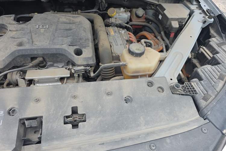 Used Roewe RX5 New Energy 2020 ePLUS National Trend Ronglin Luxury Edition Engine Bay Left