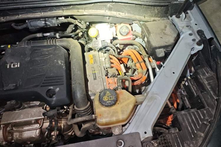 Used Roewe RX5 New Energy 2020 ePLUS National Trend Ronglin Luxury Edition Engine Bay Left