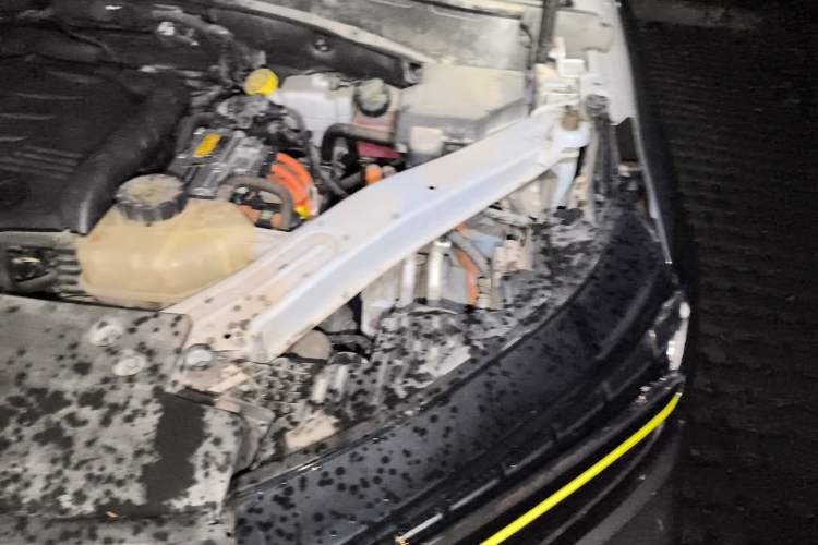 Used Roewe RX5 New Energy 2020 ePLUS National Trend Ronglin Luxury Edition Engine Bay Left