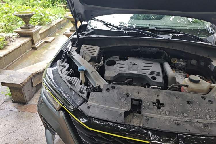 Used Roewe RX5 New Energy 2020 ePLUS National Trend Ronglin Luxury Edition Engine Bay Right