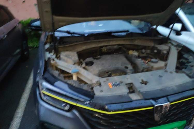 Used Roewe RX5 New Energy 2020 ePLUS National Trend Ronglin Luxury Edition Engine Bay Right