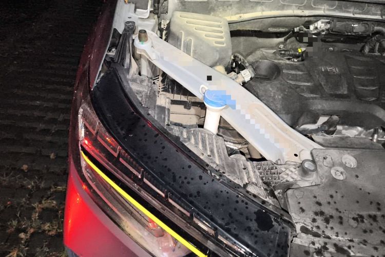 Used Roewe RX5 New Energy 2020 ePLUS National Trend Ronglin Luxury Edition Engine Bay Right