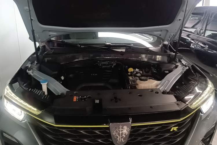 Used Roewe RX5 New Energy 2020 ePLUS National Trend Ronglin Luxury Edition Engine Bay