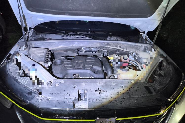 Used Roewe RX5 New Energy 2020 ePLUS National Trend Ronglin Luxury Edition Engine Bay