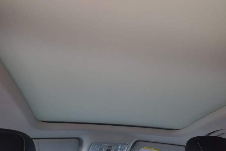 Used Roewe RX5 New Energy 2020 ePLUS National Trend Ronglin Flagship Edition Headliner