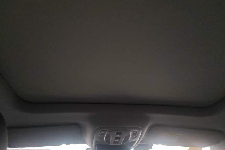 Used Roewe RX5 New Energy 2020 ePLUS National Trend Ronglin Luxury Edition Headliner