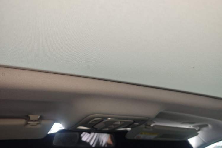 Used Roewe RX5 New Energy 2020 ePLUS National Trend Ronglin Flagship Edition Headliner