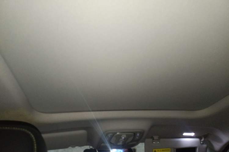 Used Roewe RX5 New Energy 2020 ePLUS National Trend Ronglin Luxury Edition Headliner