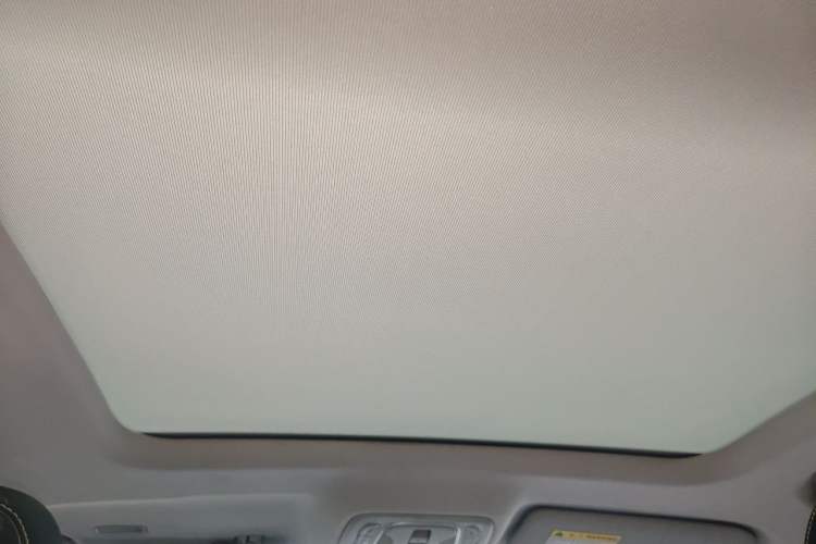 Used Roewe RX5 New Energy 2020 ePLUS National Trend Ronglin Luxury Edition Headliner