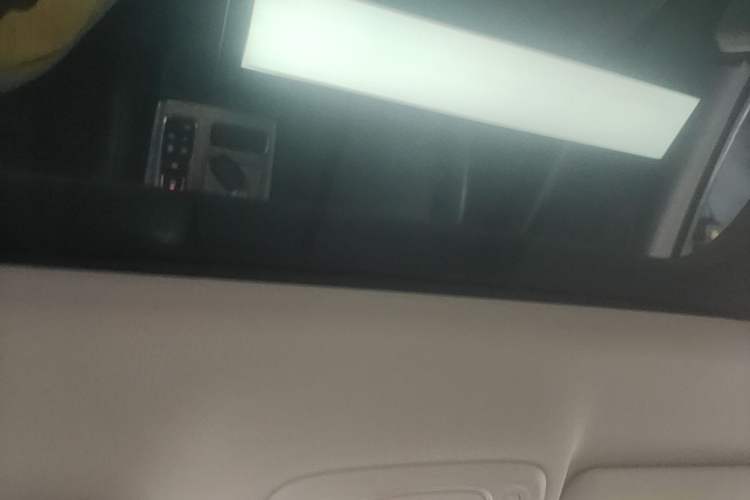 Used Roewe RX5 New Energy 2020 ePLUS National Trend Ronglin Flagship Edition Headliner