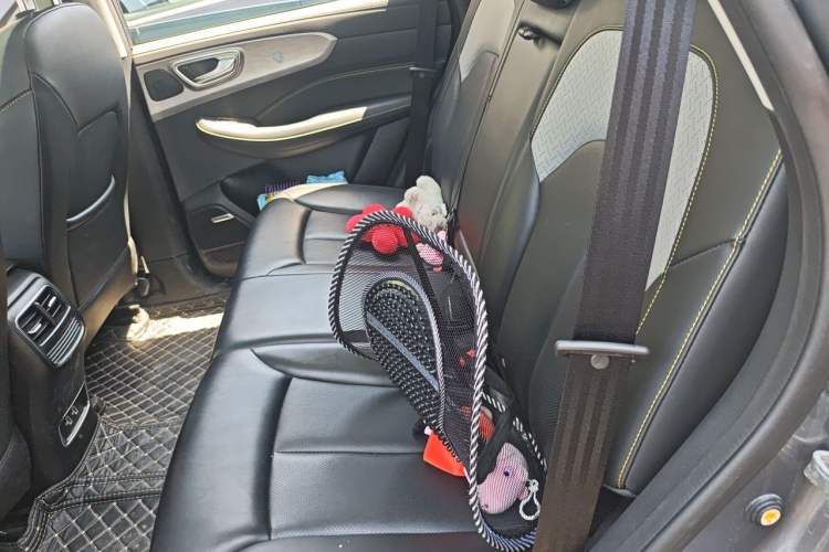 Used Roewe RX5 New Energy 2020 ePLUS National Trend Ronglin Luxury Edition Left Rear Seat