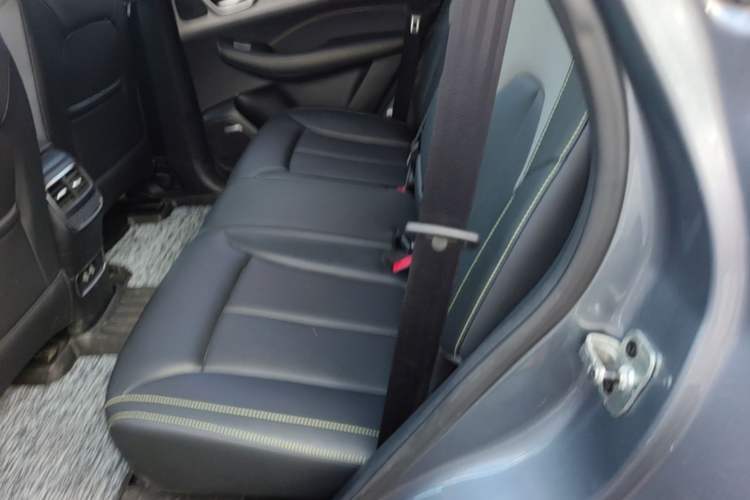 Used Roewe RX5 New Energy 2020 ePLUS National Trend Ronglin Flagship Edition Left Rear Seat