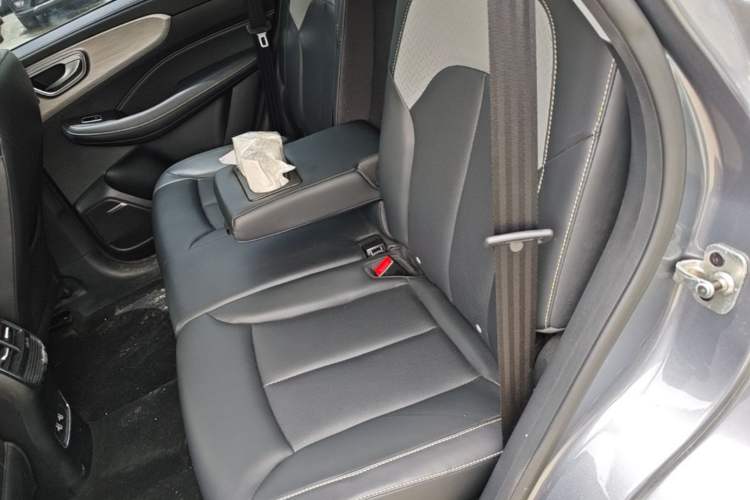 Used Roewe RX5 New Energy 2020 ePLUS National Trend Ronglin Luxury Edition Left Rear Seat