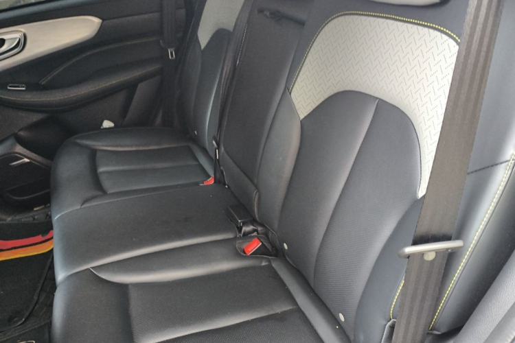 Used Roewe RX5 New Energy 2020 ePLUS National Trend Ronglin Luxury Edition Left Rear Seat