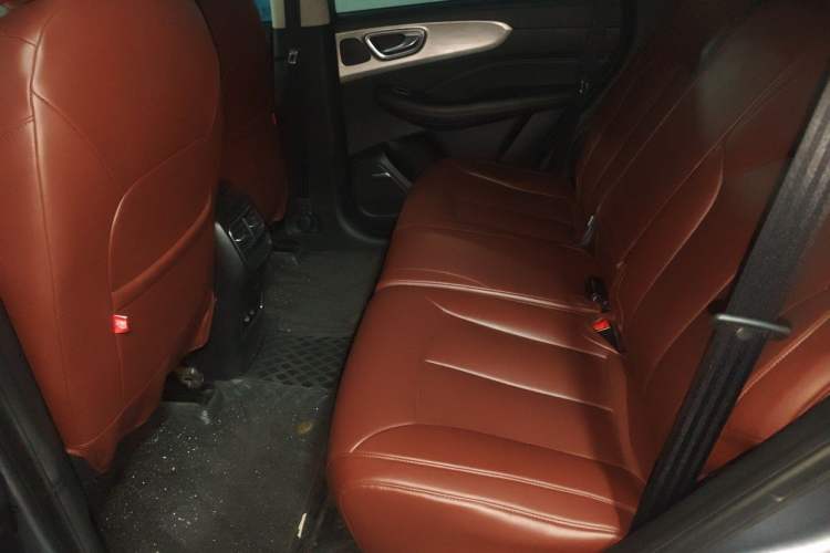 Used Roewe RX5 New Energy 2020 ePLUS National Trend Ronglin Luxury Edition Left Rear Seat