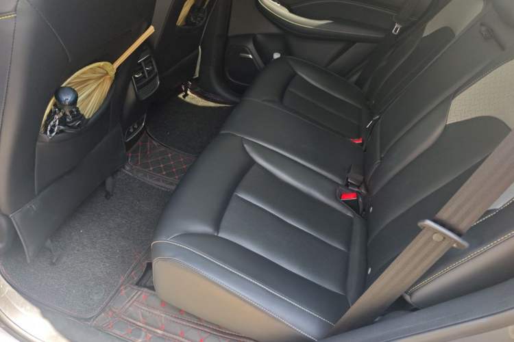 Used Roewe RX5 New Energy 2020 ePLUS National Trend Ronglin Luxury Edition Left Rear Seat