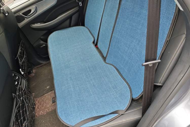 Used Roewe RX5 New Energy 2020 ePLUS National Trend Ronglin Luxury Edition Left Rear Seat