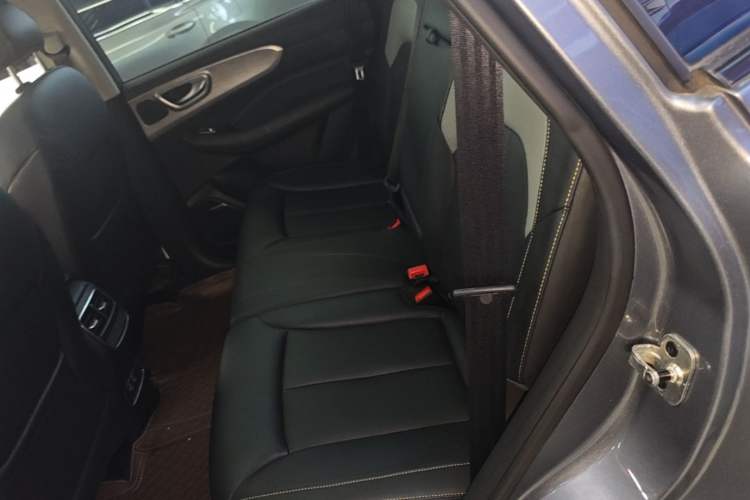 Used Roewe RX5 New Energy 2020 ePLUS National Trend Ronglin Luxury Edition Left Rear Seat