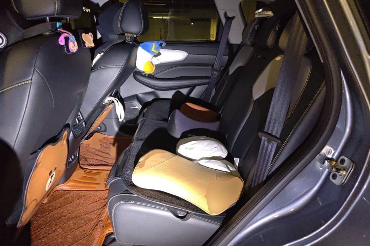Used Roewe RX5 New Energy 2020 ePLUS National Trend Ronglin Flagship Edition Left Rear Seat