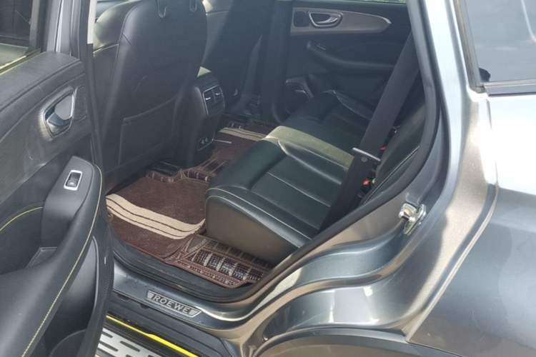 Used Roewe RX5 New Energy 2020 ePLUS National Trend Ronglin Luxury Edition Left Rear Seat