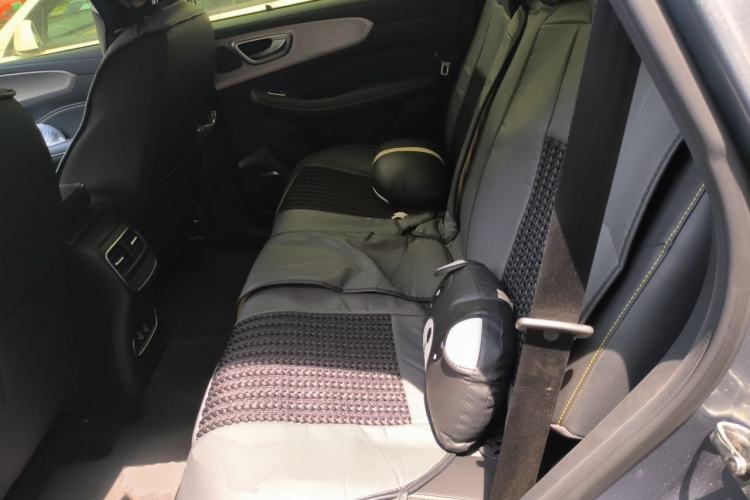 Used Roewe RX5 New Energy 2020 ePLUS National Trend Ronglin Luxury Edition Left Rear Seat