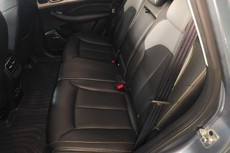Used Roewe RX5 New Energy 2020 ePLUS National Trend Ronglin Luxury Edition Left Rear Seat