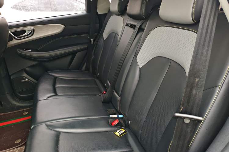 Used Roewe RX5 New Energy 2020 ePLUS National Trend Ronglin Luxury Edition Left Rear Seat
