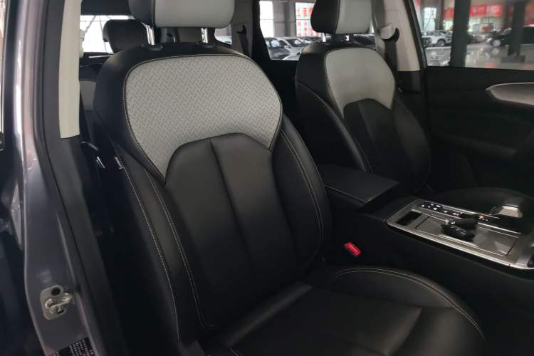 Used Roewe RX5 New Energy 2020 ePLUS National Trend Ronglin Flagship Edition Right Front Seat
