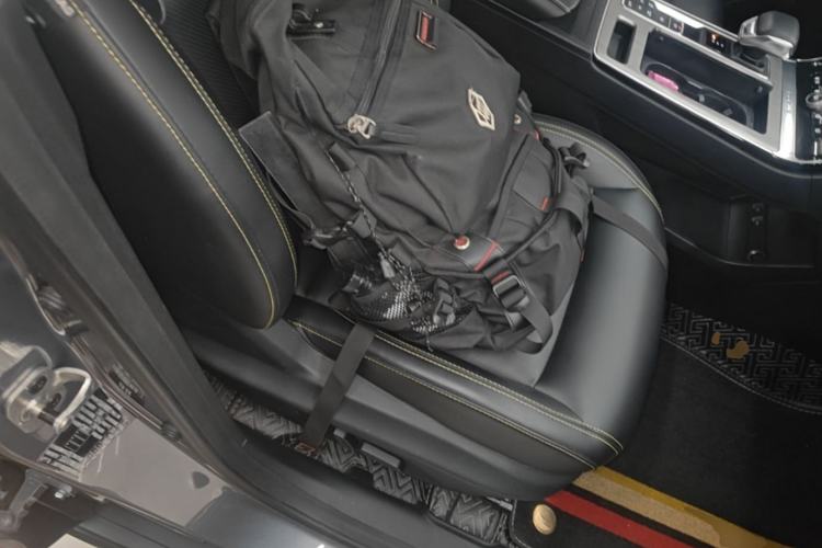 Used Roewe RX5 New Energy 2020 ePLUS National Trend Ronglin Luxury Edition Right Front Seat