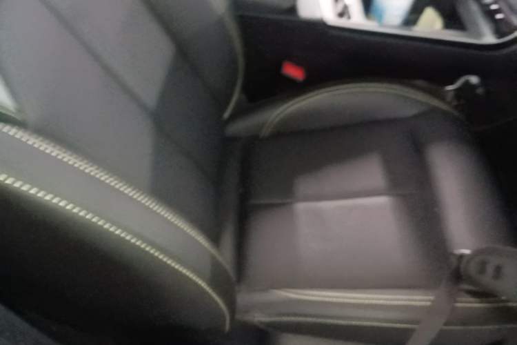 Used Roewe RX5 New Energy 2020 ePLUS National Trend Ronglin Luxury Edition Right Front Seat