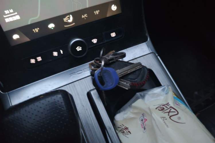 Used Roewe RX5 New Energy 2020 ePLUS National Trend Ronglin Luxury Edition Vehicle Key