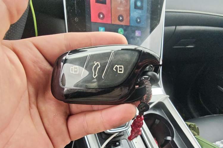 Used Roewe RX5 New Energy 2020 ePLUS National Trend Ronglin Luxury Edition Vehicle Key