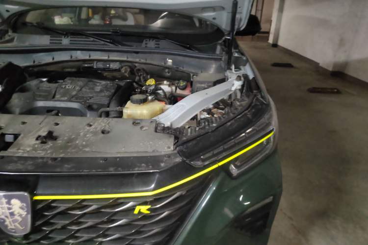 Used Roewe RX5 New Energy 2020 ePLUS National Trend Ronglin Flagship Edition Engine Bay Left