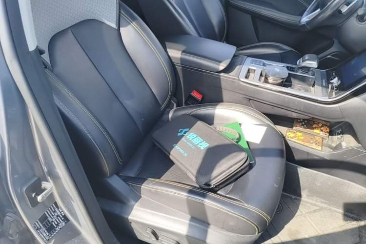 Used Roewe RX5 New Energy 2020 ePLUS National Trend Ronglin Luxury Edition Right Front Seat