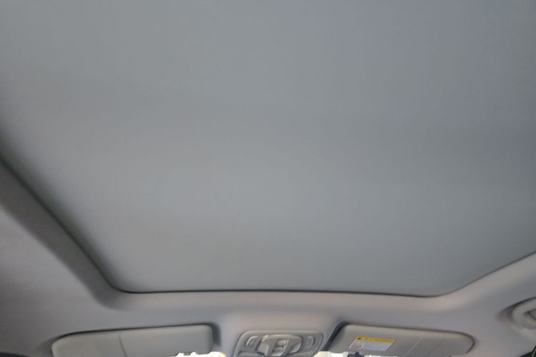 Used Roewe RX5 New Energy 2020 ePLUS National Trend Ronglin Flagship Edition Headliner