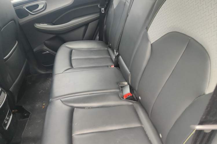 Used Roewe RX5 New Energy 2020 ePLUS National Trend Ronglin Flagship Edition Left Rear Seat